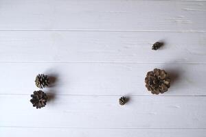 pin cônes sur une blanc en bois Contexte. photo