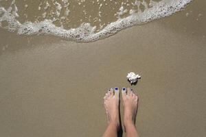 femelle pieds et coquillage sur le humide sable. photo