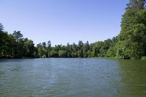 Lac dans le forêt. été paysage. photo