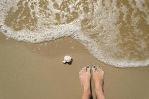 femelle pieds et coquillage sur le humide sable. photo