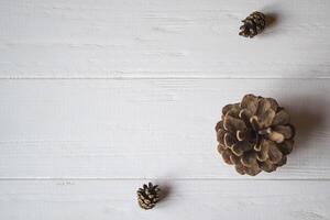 pin cônes sur une blanc en bois Contexte. photo