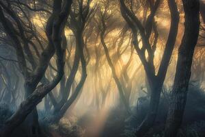 ai généré dense forêt couvert dans brouillard photo