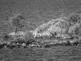 la mer baltique en suède photo