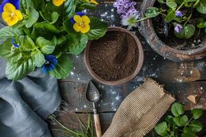 ai généré printemps fleurs dans des pots avec pelle et sol sur jardin tableau. concept de jardinage et plantation les plantes photo
