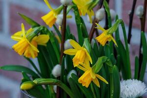 le printemps en westphalie photo