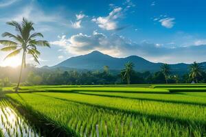 ai généré paddy champ dans tropical île avec magnifique Montagne dans le Contexte photo