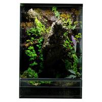 terrarium jardin variété photo