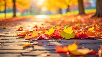 ai généré magnifique abstrait l'automne feuilles coloré feuilles dans le parc, l'automne feuilles, la nature Contexte photo