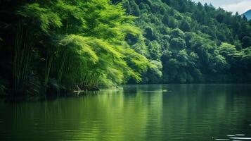 ai généré luxuriant bambou les forêts et serein Lac dans la nature photo