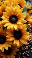 ai généré tournesol Jaune épanouissement fleur sans couture fond d'écran photo