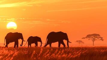 ai généré africain éléphants à le coucher du soleil dans le savane photo