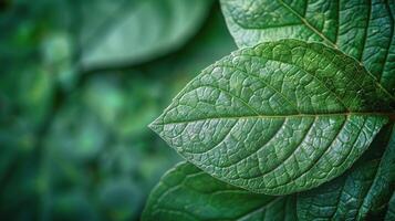 ai généré proche en haut vue de une vert feuille photo