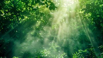 ai généré lumière du soleil perce par une verdoyant forêt, création mystique des rayons parmi le feuillage photo