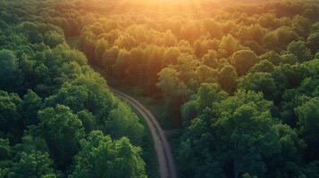 ai généré aérien vue de route Coupe par forêt photo