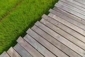 en bois planche au dessus le herbe avec espace. photo