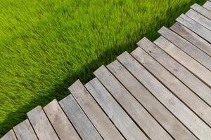 en bois planche au dessus le herbe avec espace. photo