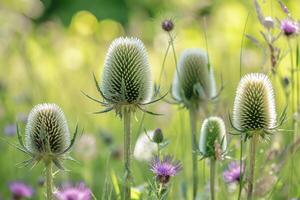 ai généré teasels avec fleurs contre vert Contexte. photo