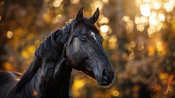 ai généré noir cheval permanent dans de face de forêt photo