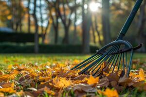 ai généré photo ratissage feuilles avec ventilateur râteau de le pelouse.