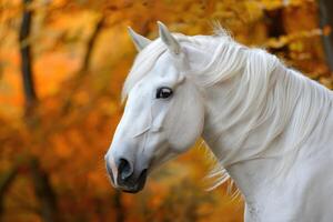 ai généré portrait de magnifique blanc cheval dans l'automne photo