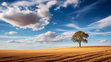 ai généré une solitaire arbre dans une d'or blé champ avec une bleu ciel photo