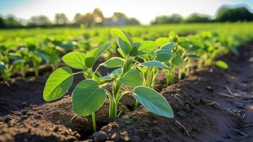 ai généré bien organisé Lignes de soigneusement planté soja semis photo