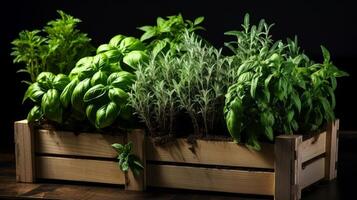 ai généré charmant afficher de parfumé herbes comme basilic et Romarin dans une rustique Caisse photo