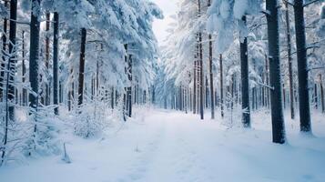 ai généré une calme et silencieux paysage de une parfait neigeux forêt avec nu branches et doux neige photo