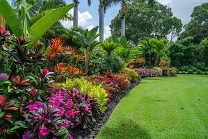 ai généré magnifique aménagement paysager avec magnifique les plantes et fleurs. photo