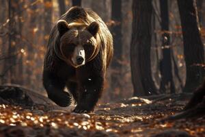ai généré vue de sauvage ours ours en marchant dans forêt. photo