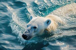 ai généré polaire ours nager dans le bleu artic océan sur une clair ensoleillé journée photo