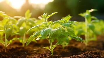 ai généré tomate semis capturé dans une proche en haut au milieu de le expansif ferme champ photo