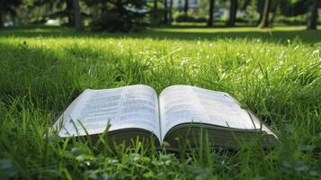 ai généré ouvert livre sur vert herbe photo