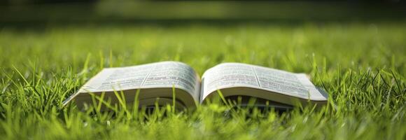 ai généré ouvert livre sur vert herbe photo