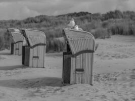 plage de la mer du nord photo