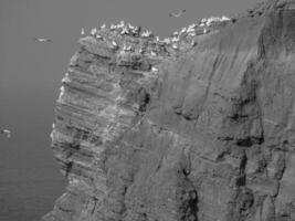 l'île d'helgoland photo