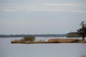 amarrer paysage avec canaux, roseaux et arbustes photo