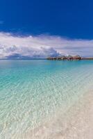 incroyable la nature plage. étourdissant mer côte paume des arbres ensoleillé de mauvaise humeur ciel. été vacances Voyage vacances Contexte. Maldives paradis destination. luxe populaire Voyage été vacances paysage paysage marin photo