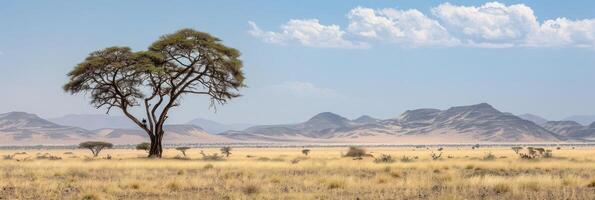 ai généré Afrique paysage détails photo