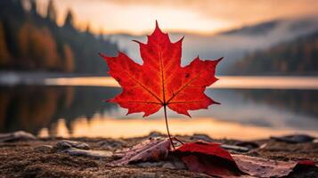 ai généré un vif l'automne coloré érable feuille dans rouge et Jaune couleurs. feuille Couleur sec parc proche illustration forêt l'automne, Naturel saison, Extérieur jardin feuille Couleur sec parc proche photo