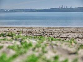 bord de mer Contexte. herbe proche vue macro photo, le sable et mer, vacances fond d'écran photo