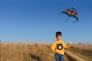 peu garçon en jouant avec cerf-volant sur prairie. enfance concept photo