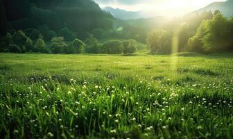 ai généré ensoleillé vert prairie, printemps Prairie Contexte photo