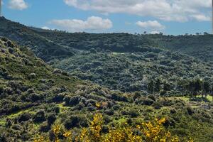 paisible vert collines et nuageux bleu ciel paysage avec vibrant couleurs photo