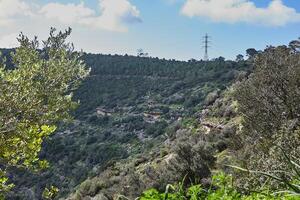 paisible vert collines et nuageux bleu ciel paysage avec vibrant couleurs photo