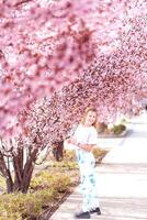 fille parmi magnifique Cerise fleurs dans plein Floraison photo