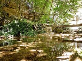 pont sur le rivière dans forêt avec réflexion photo