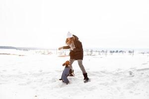 femme en jouant avec chien beagle Extérieur sur neige dans ensoleillé hiver journée photo