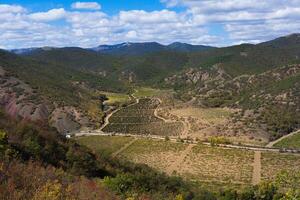 magnifique vallée dans le montagnes avec vignobles photo