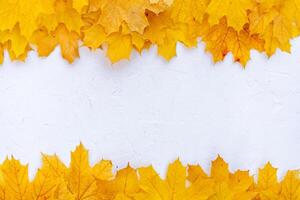 l'automne feuilles Cadre sur blanc Contexte Haut vue tomber frontière Jaune et Orange feuilles ancien structure table copie espace pour texte. photo